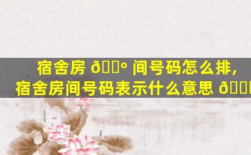 宿舍房 🌺 间号码怎么排,宿舍房间号码表示什么意思 🐎